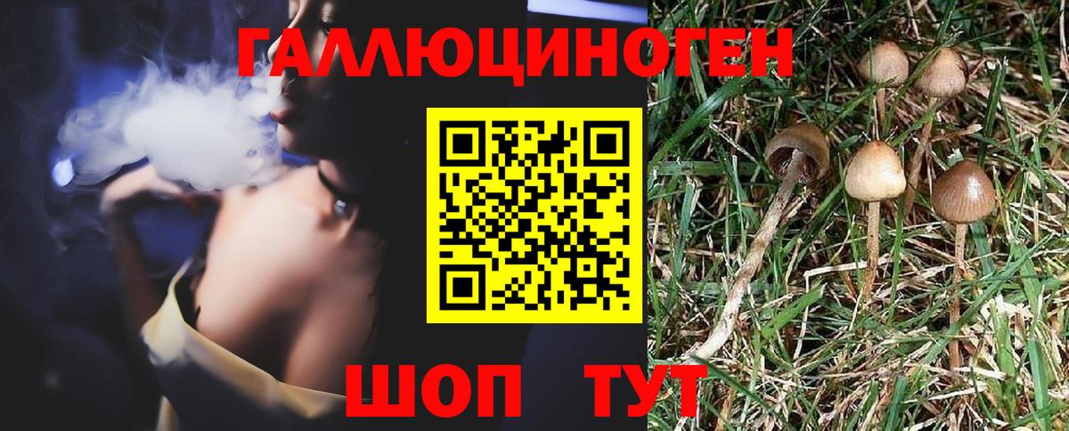 Бошки Шишки Ухта